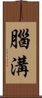 腦溝 Scroll