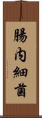 腸内細菌 Scroll