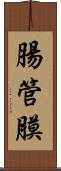 腸管膜 Scroll