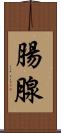 腸腺 Scroll