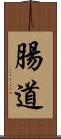 腸道 Scroll