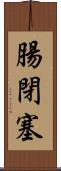 腸閉塞 Scroll