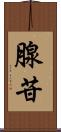 腺苷 Scroll