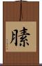 膆 Scroll