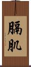 膈肌 Scroll