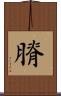 膌 Scroll