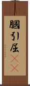 膕 Scroll