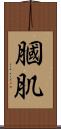 膕肌 Scroll