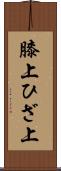 膝上 Scroll