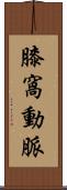 膝窩動脈 Scroll