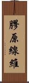 膠原線維 Scroll