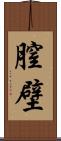 膣壁 Scroll