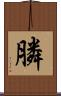 膦 Scroll