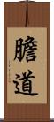 膽道 Scroll