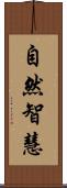 自然智慧 Scroll