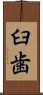 臼歯 Scroll