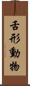 舌形動物 Scroll