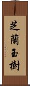 芝蘭玉樹 Scroll