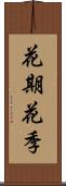 花期 Scroll