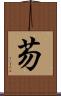 芴 Scroll