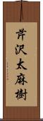 芹沢太麻樹 Scroll