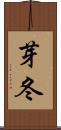 芽冬 Scroll