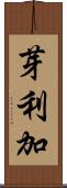 芽利加 Scroll