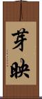 芽映 Scroll