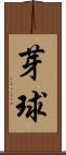 芽球 Scroll