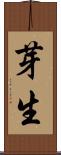芽生 Scroll