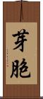 芽胞 Scroll