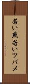若い燕 Scroll