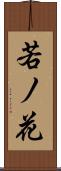 若ノ花 Scroll