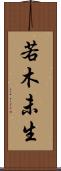 若木未生 Scroll