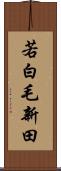 若白毛新田 Scroll