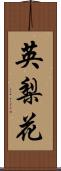 英梨花 Scroll