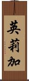 英莉加 Scroll