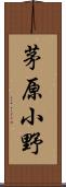 茅原小野 Scroll