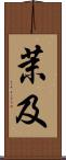 茉及 Scroll