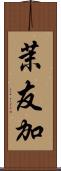 茉友加 Scroll
