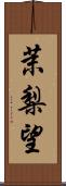 茉梨望 Scroll