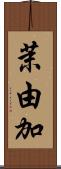 茉由加 Scroll