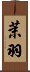 茉羽 Scroll