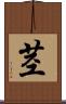 茎 Scroll