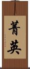 菁英 Scroll