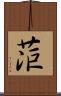 菃 Scroll