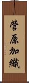 菅原加織 Scroll