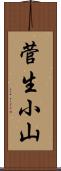 菅生小山 Scroll
