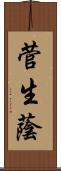 菅生蔭 Scroll