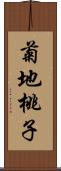 菊地桃子 Scroll